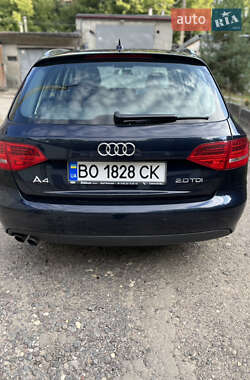 Универсал Audi A4 2010 в Тернополе