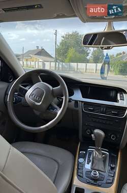 Седан Audi A4 2008 в Звягелі