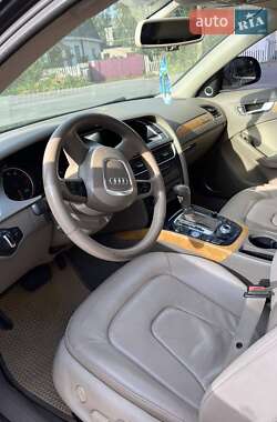 Седан Audi A4 2008 в Звягелі
