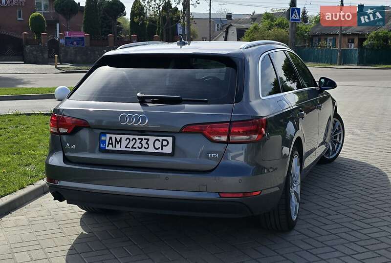 Универсал Audi A4 2016 в Житомире