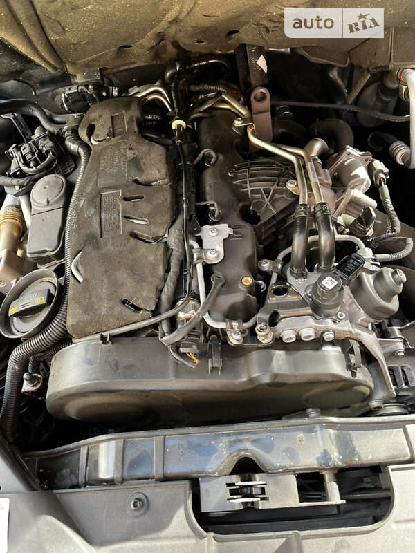 Универсал Audi A4 2010 в Ивано-Франковске