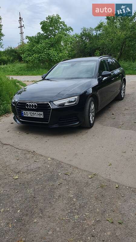 Універсал Audi A4 2016 в Береговому