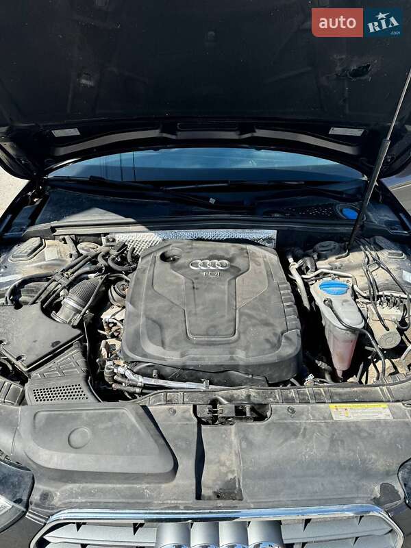 Універсал Audi A4 2015 в Звягелі