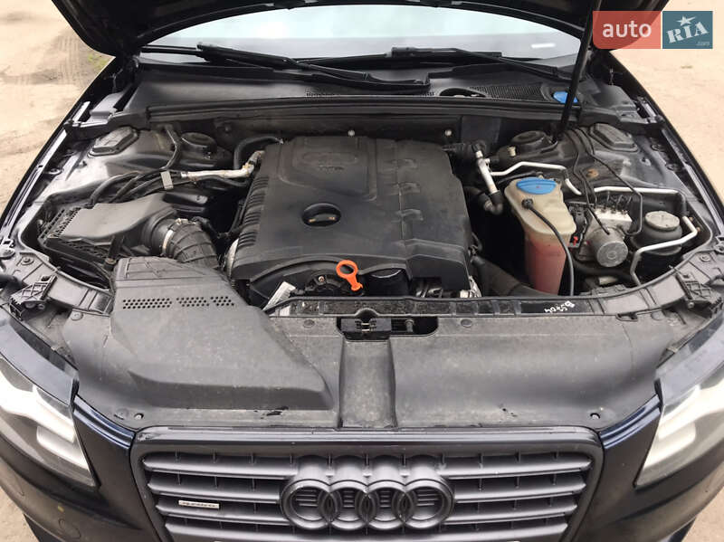 Седан Audi A4 2009 в Козельце фото 10 Седан Audi A4 2009 в Козельце