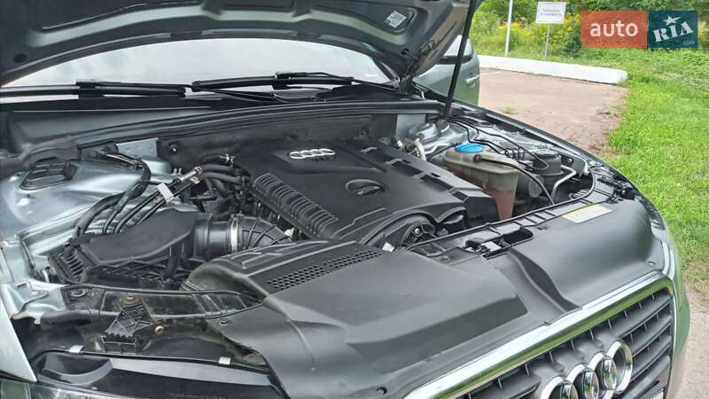 Седан Audi A4 2010 в Нежине фото 34 Седан Audi A4 2010 в Нежине