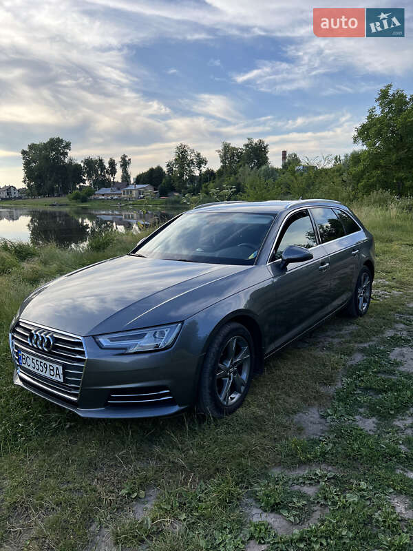 Универсал Audi A4 2016 в Каменке-Бугской