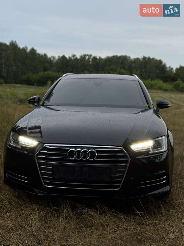 Универсал Audi A4 2016 в Одессе