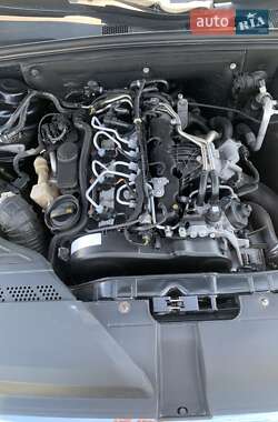 Універсал Audi A4 2009 в Літині