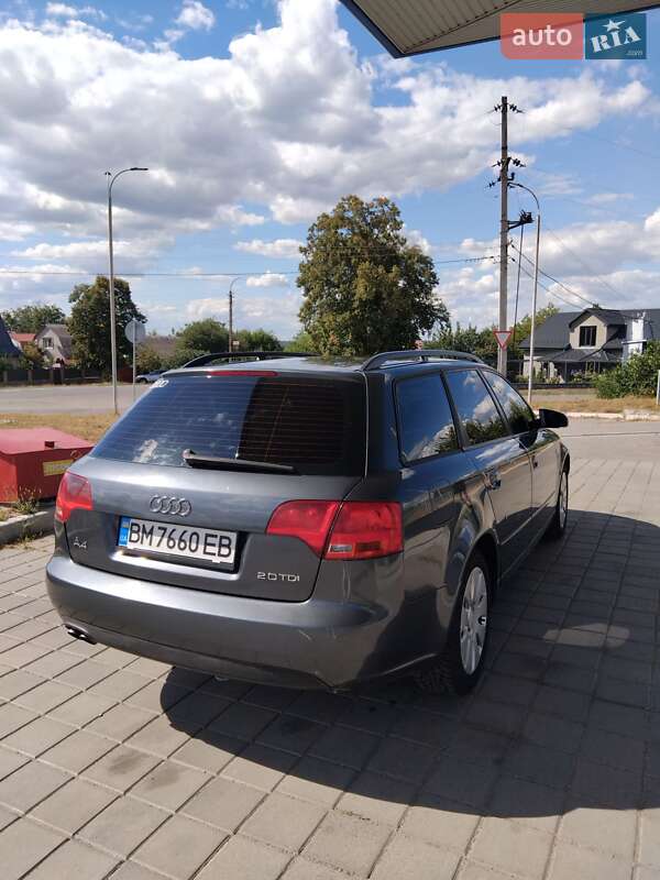 Универсал Audi A4 2005 в Звенигородке