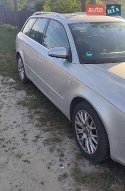 Універсал Audi A4 2008 в Маневичах