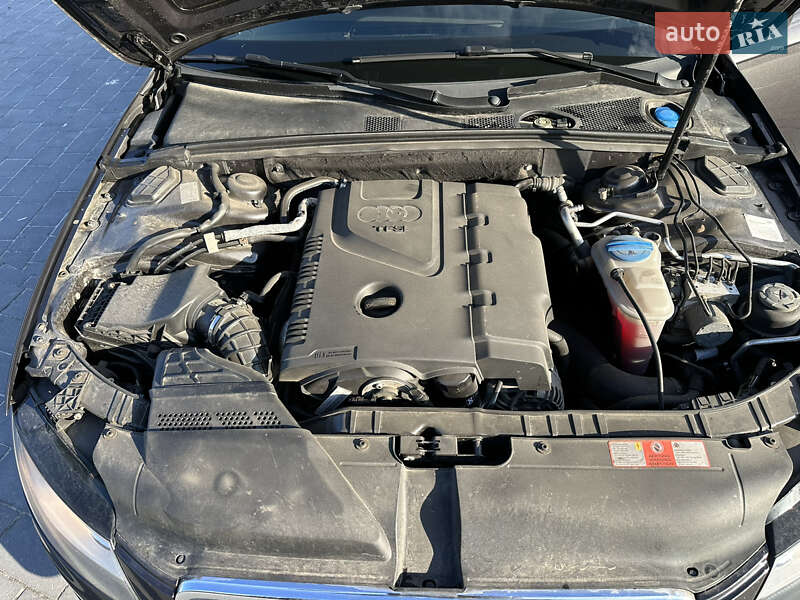 Универсал Audi A4 2009 в Городке фото 56 Универсал Audi A4 2009 в Городке