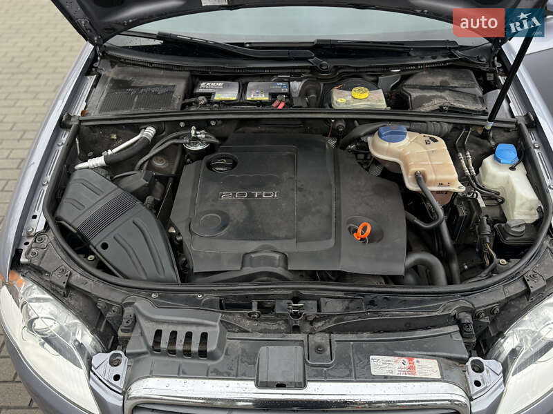 Универсал Audi A4 2005 в Житомире