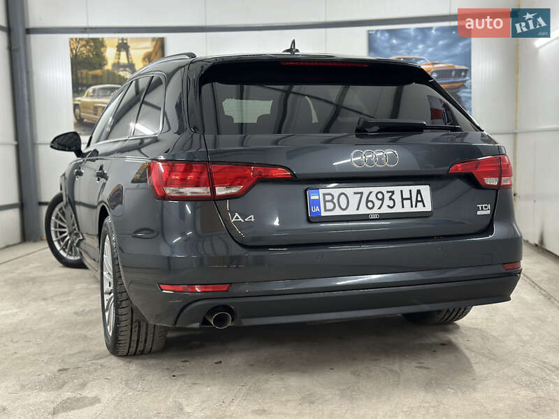Универсал Audi A4 2016 в Дрогобыче