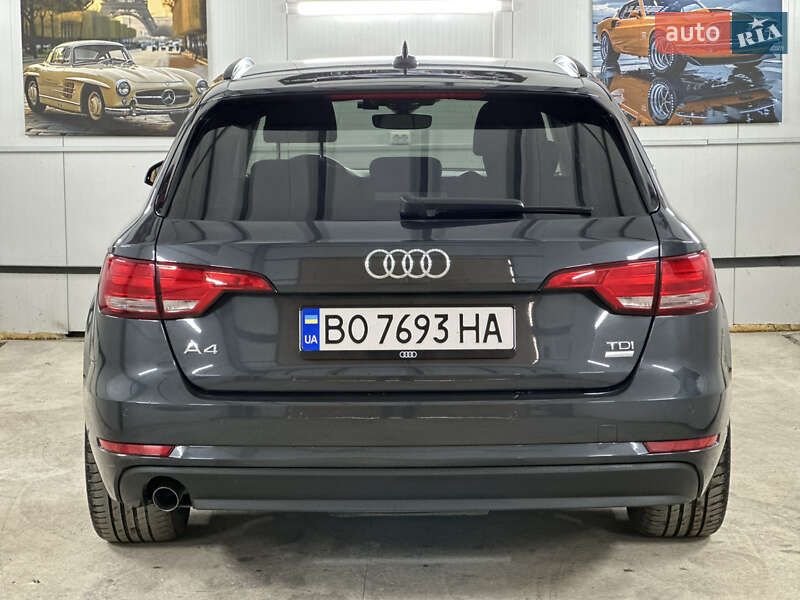 Универсал Audi A4 2016 в Дрогобыче