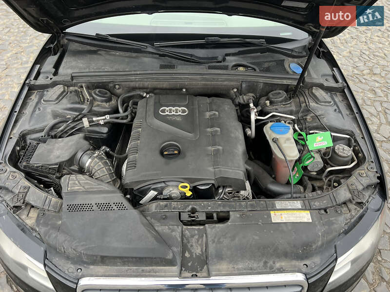 Седан Audi A4 2010 в Луцке фото 26 Седан Audi A4 2010 в Луцке
