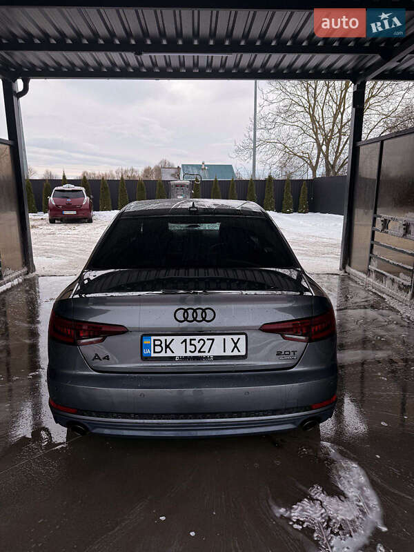 Седан Audi A4 2017 в Звягелі