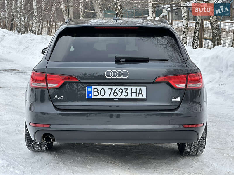 Універсал Audi A4 2016 в Дрогобичі
