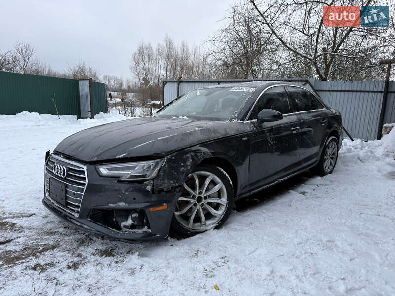 2019 Audi A4, VIN WAUENAF43KN013366:plate — фото 1 (autoria)