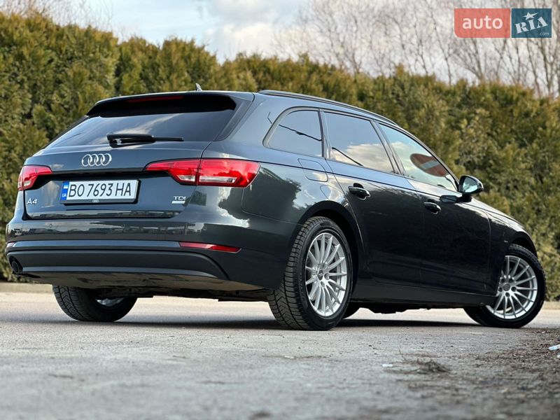 Универсал Audi A4 2016 в Дрогобыче