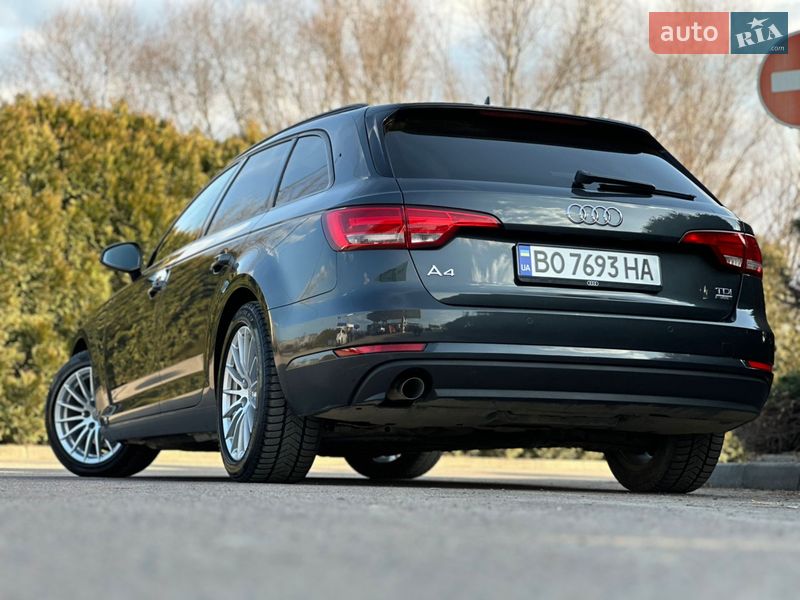 Универсал Audi A4 2016 в Дрогобыче
