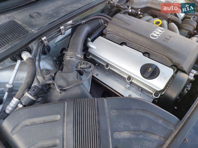 Седан Audi A4 2003 в Бердичеві фото 25 Седан Audi A4 2003 в Бердичеві