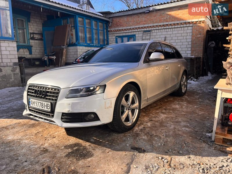 2008 Audi A4, VIN WAUZZZ8KX9A006514:plate — фото 1 (autoria)