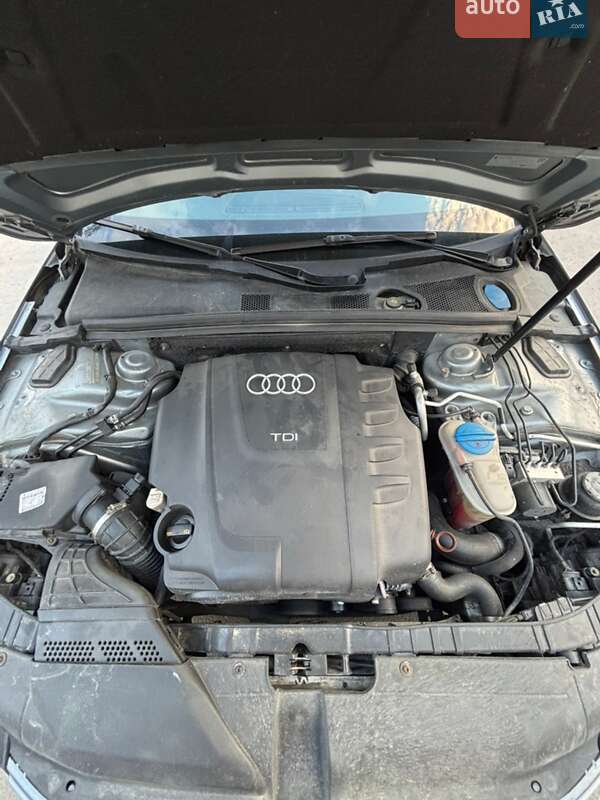 Універсал Audi A4 2008 в Білій Церкві фото 17 Універсал Audi A4 2008 в Білій Церкві