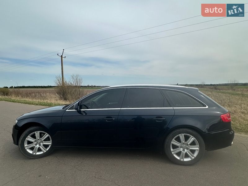 Універсал Audi A4 2008 в Голобах