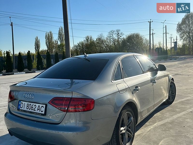 Седан Audi A4 2008 в Звягелі
