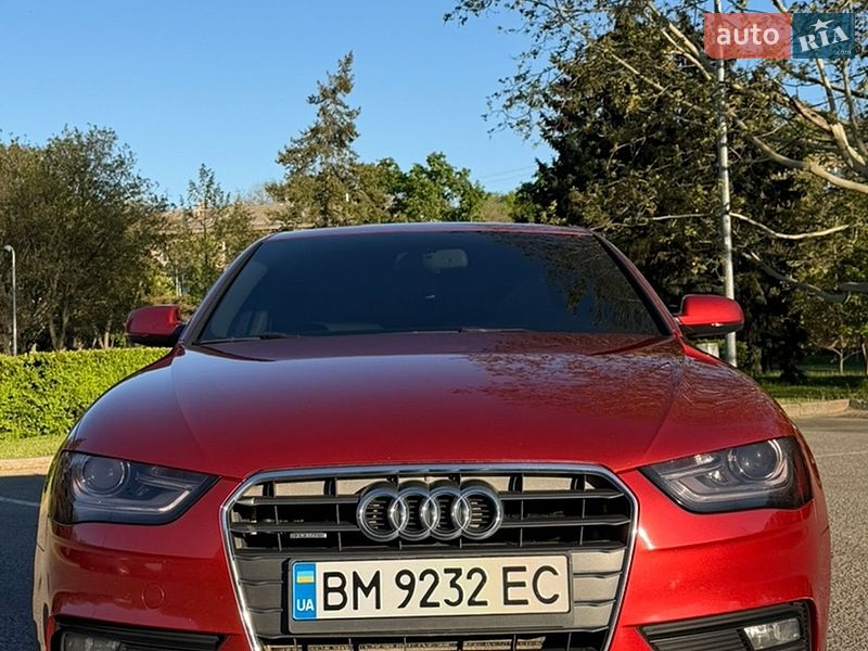 2013 Audi A4, VIN WAUKFAFL0DN038090:plate — фото 1 (autoria)