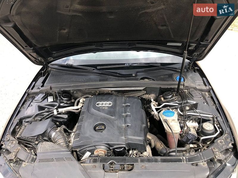 Универсал Audi A4 2009 в Ровно фото 49 Универсал Audi A4 2009 в Ровно