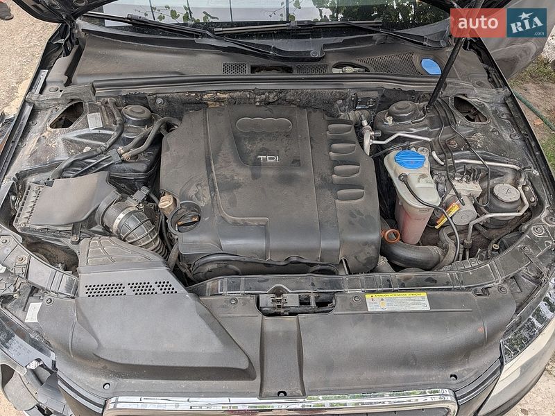 Универсал Audi A4 2008 в Дубно