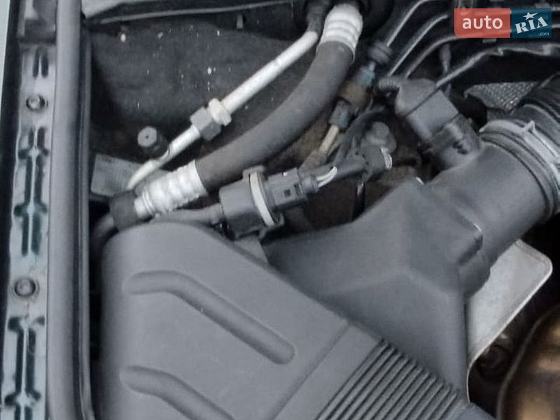 Універсал Audi A4 2004 в Бердичеві