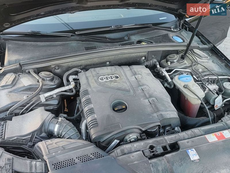 Універсал Audi A4 2008 в Житомирі фото 21 Універсал Audi A4 2008 в Житомирі