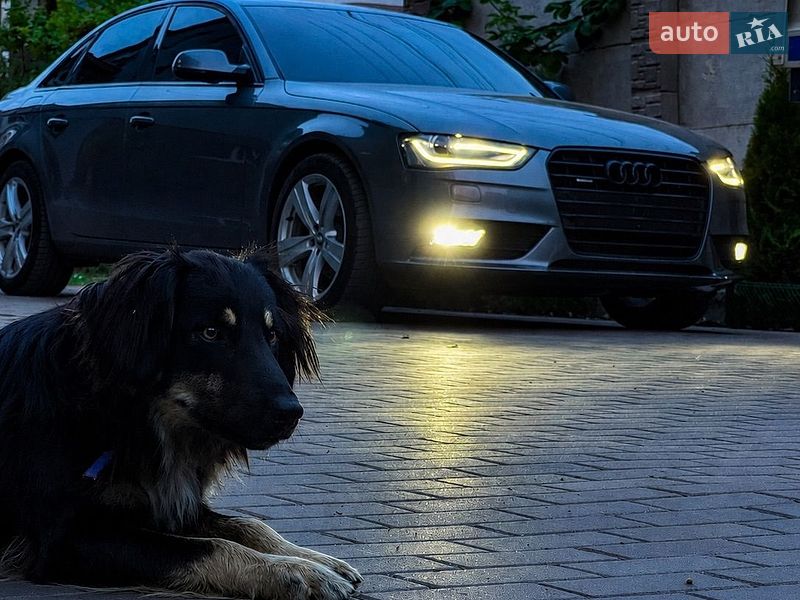 Седан Audi A4 2014 в Хмельницком