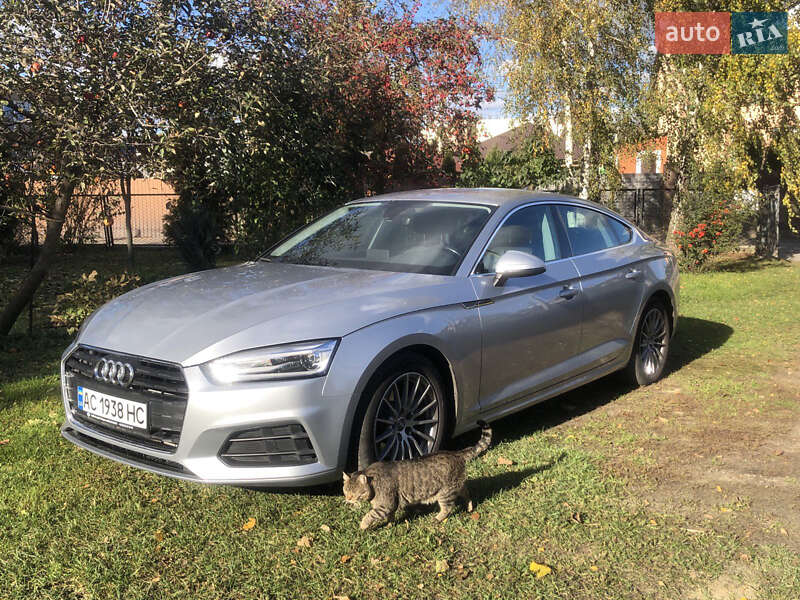 Лифтбек Audi A5 Sportback 2017 в Луцке фото 4 Лифтбек Audi A5 Sportback 2017 в Луцке