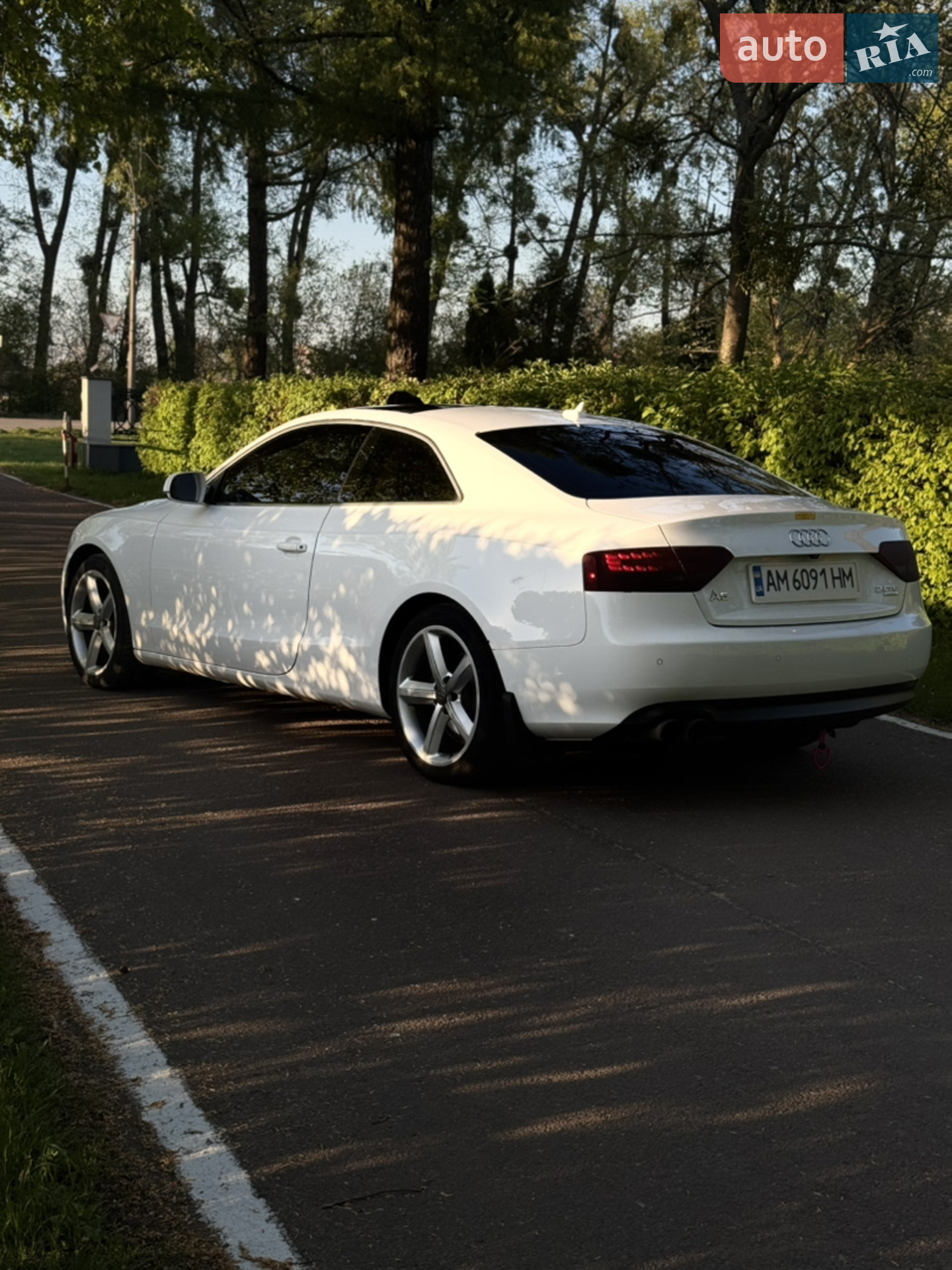 2010 Audi A5 - фото 1