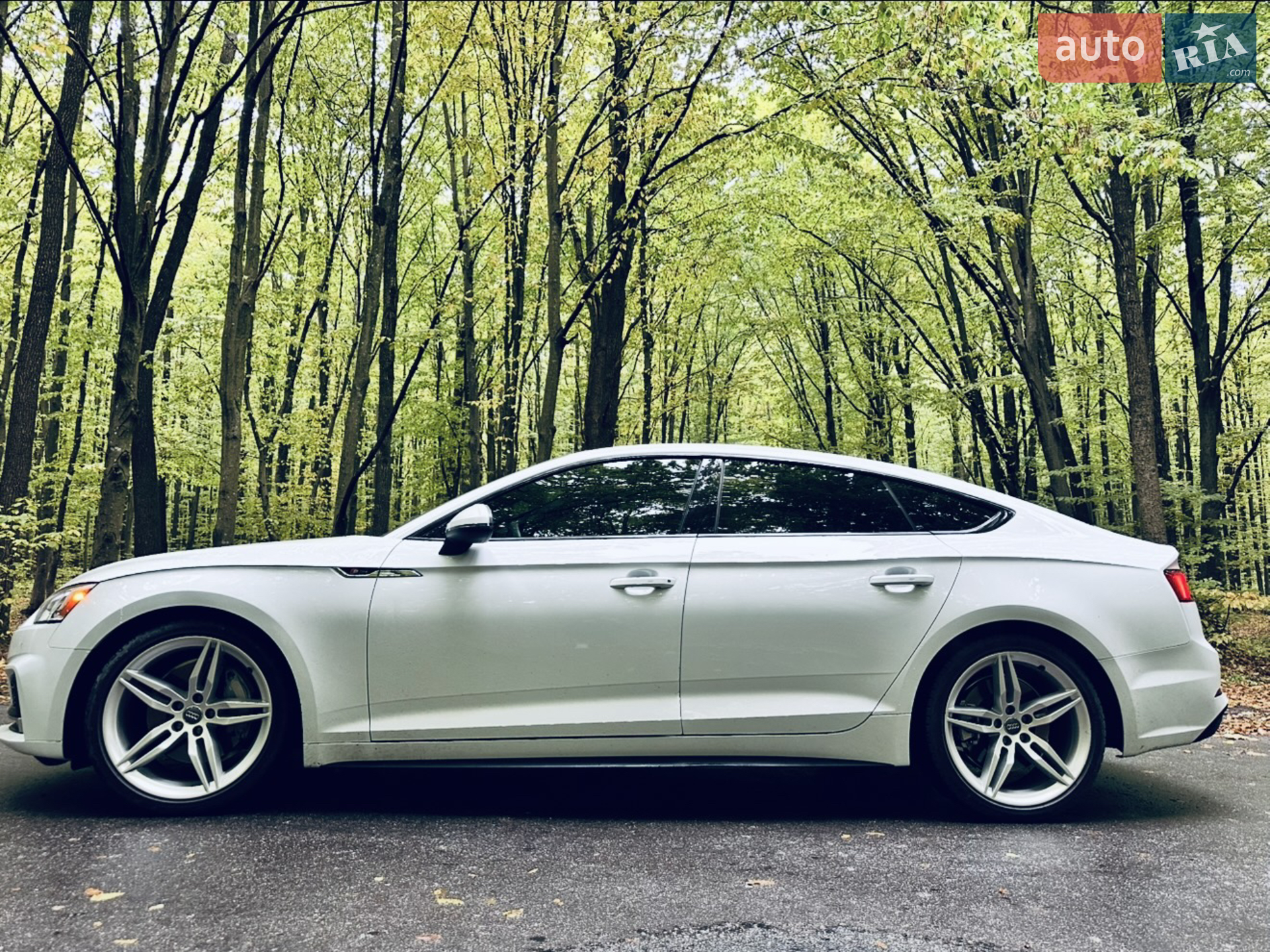 2019 Audi A5 - мініатюра 8