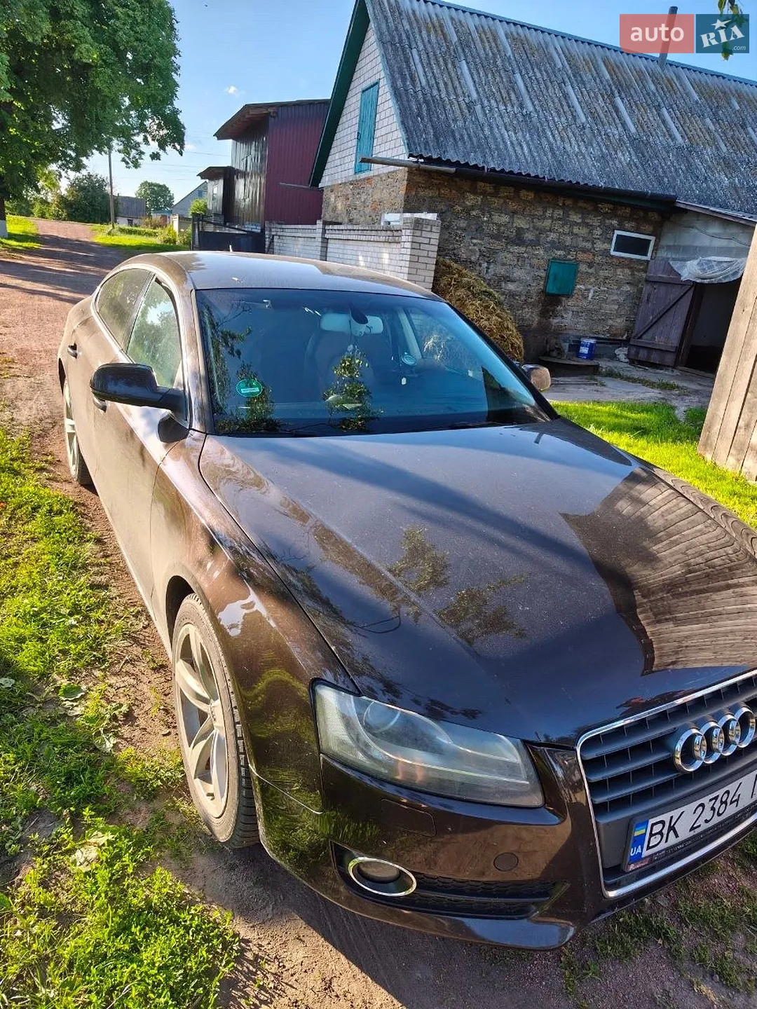 2011 Audi A5 - мініатюра 2
