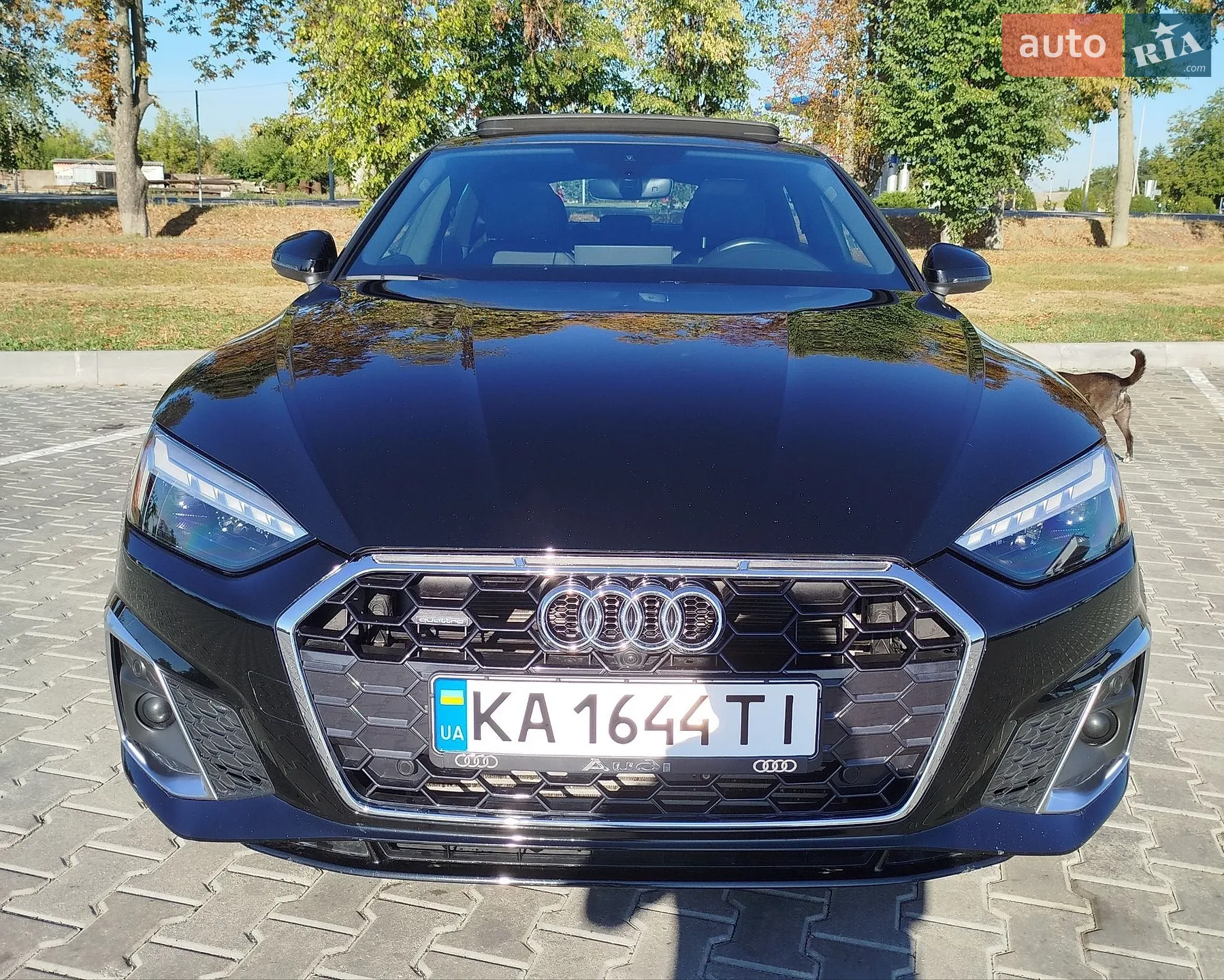 2023 Audi A5 - мініатюра 23