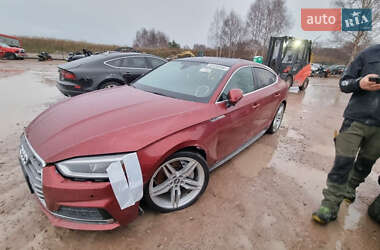 Купе Audi A5 2017 в 