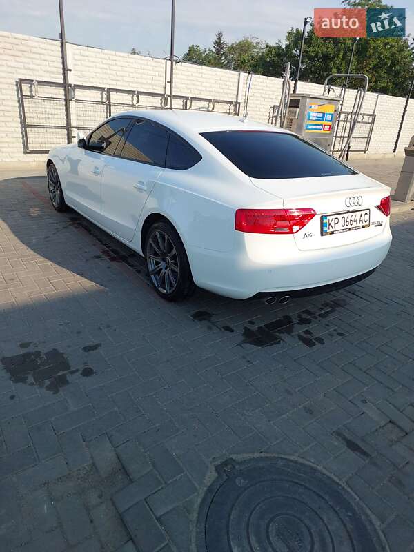 Лифтбек Audi A5 2015 в Запорожье фото 86 Лифтбек Audi A5 2015 в Запорожье