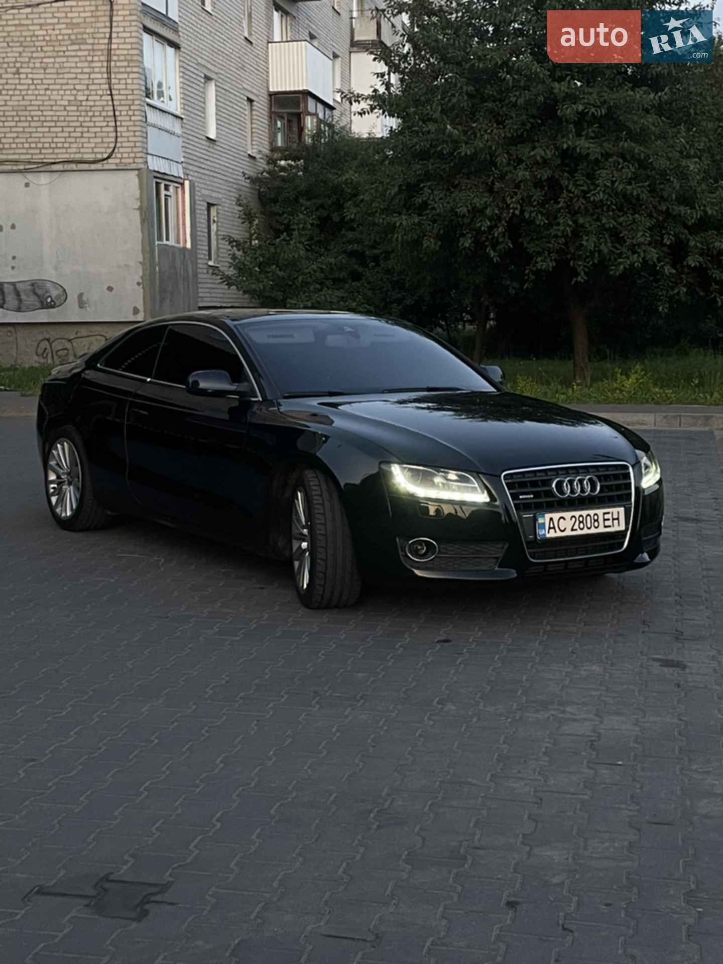 2010 Audi A5 - мініатюра 3