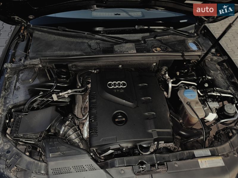 2010 Audi A5, VIN WAUVFAFH8BN004887:plate — фото 1 (autoria)
