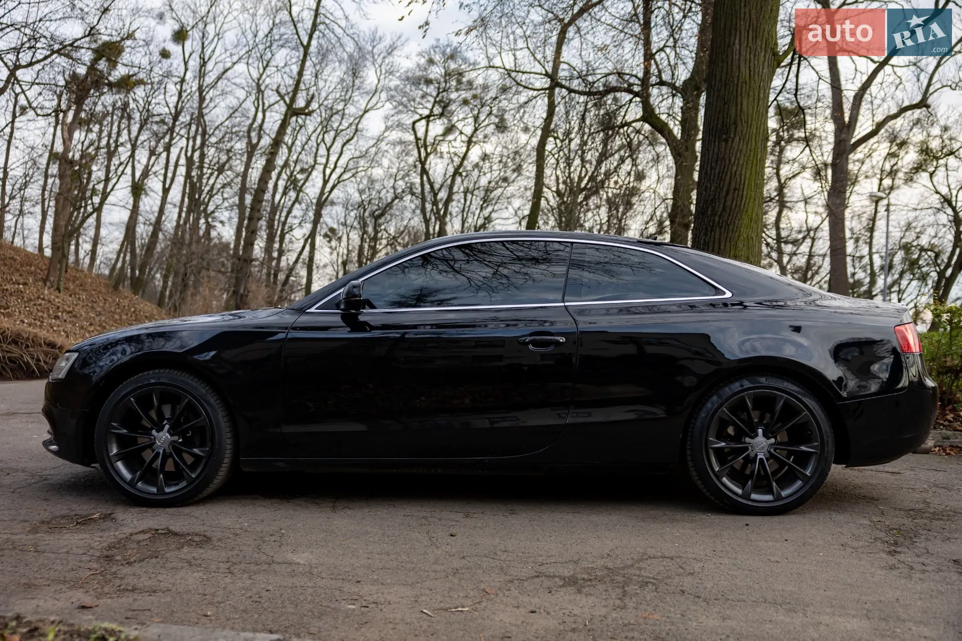 2013 Audi A5 - мініатюра 6