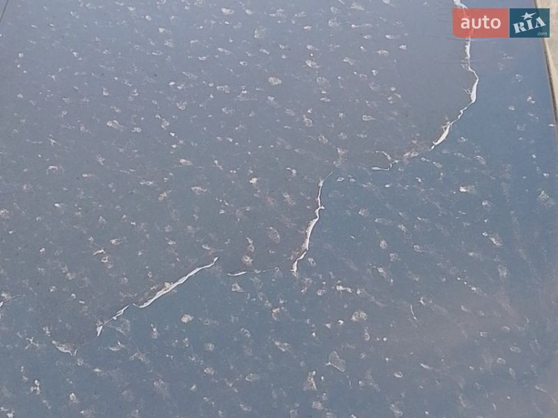 Купе Audi A5 2010 в Стрые