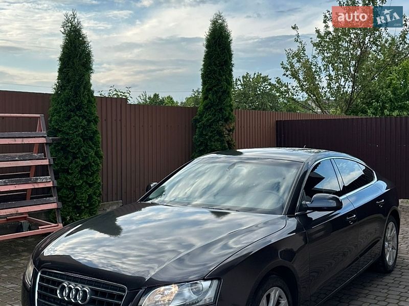 2011 Audi A5, VIN WAUZZZ8T6BA098980:plate — фото 1 (autoria)