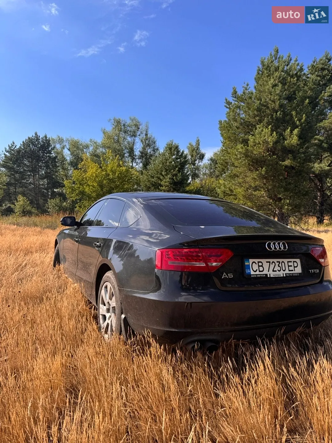 2011 Audi A5 - мініатюра 2