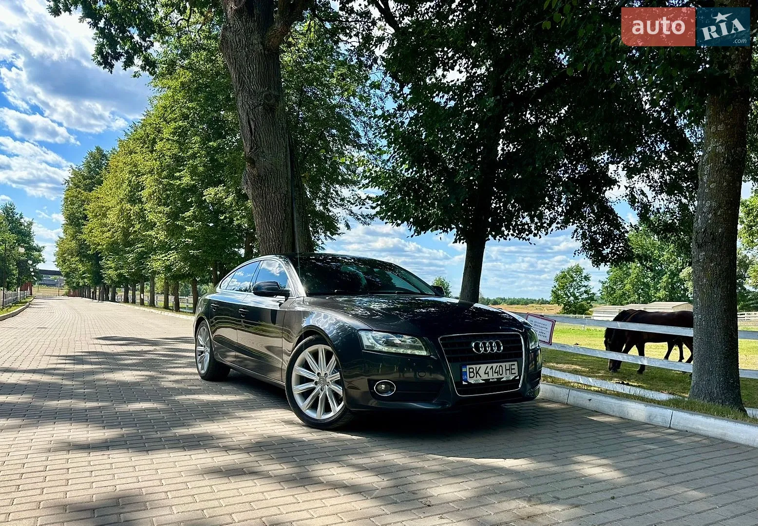 2011 Audi A5 - мініатюра 9
