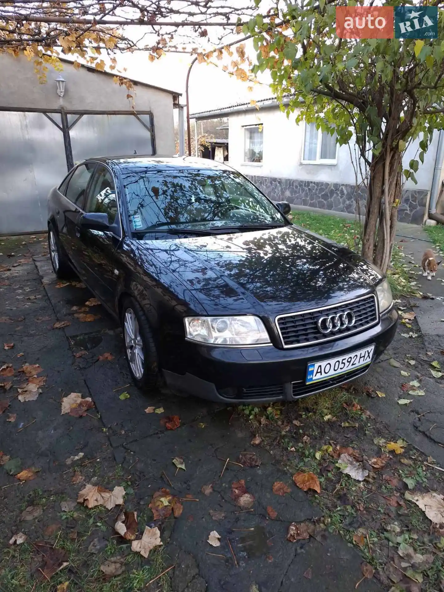 Audi A6 2002 р.в